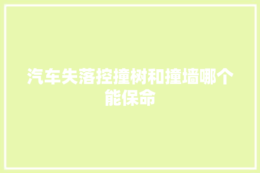 汽车失落控撞树和撞墙哪个能保命