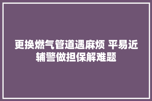 更换燃气管道遇麻烦 平易近辅警做担保解难题