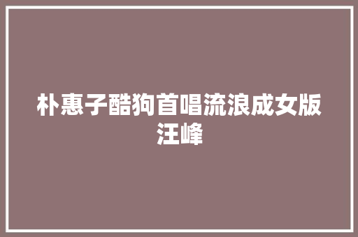 朴惠子酷狗首唱流浪成女版汪峰