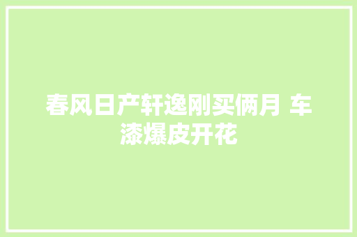 春风日产轩逸刚买俩月 车漆爆皮开花