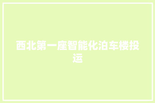 西北第一座智能化泊车楼投运