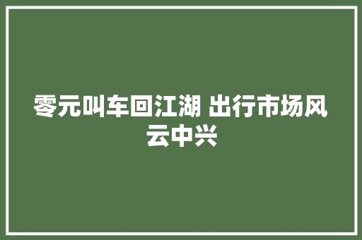 零元叫车回江湖 出行市场风云中兴