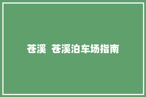 苍溪  苍溪泊车场指南