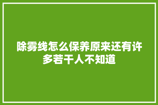 除雾线怎么保养原来还有许多若干人不知道