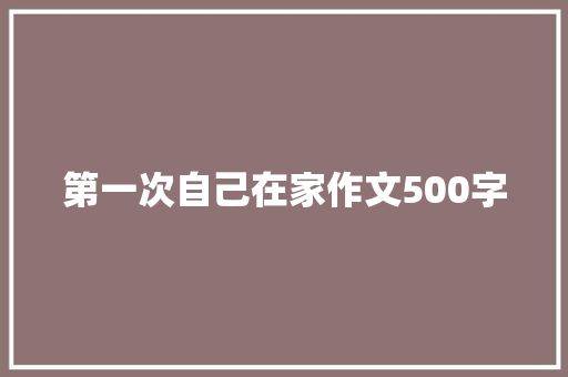 第一次自己在家作文500字