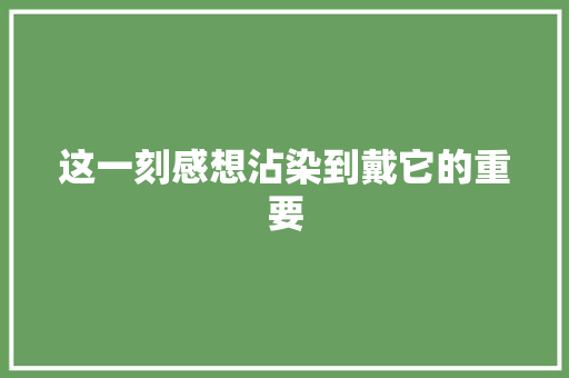 这一刻感想沾染到戴它的重要