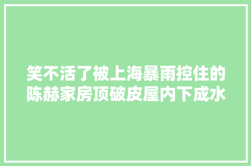 笑不活了被上海暴雨控住的陈赫家房顶破皮屋内下成水帘洞 汽车知识