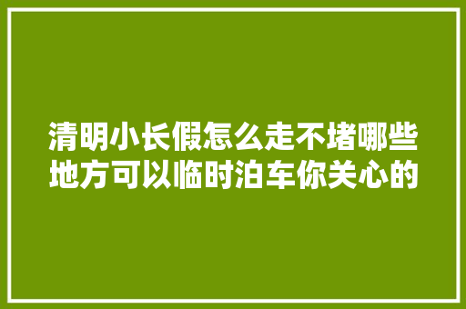 清明小长假怎么走不堵哪些地方可以临时泊车你关心的都在这里