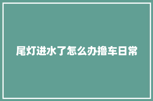 尾灯进水了怎么办撸车日常