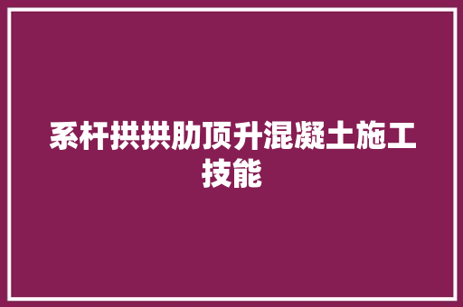 系杆拱拱肋顶升混凝土施工技能 汽车知识