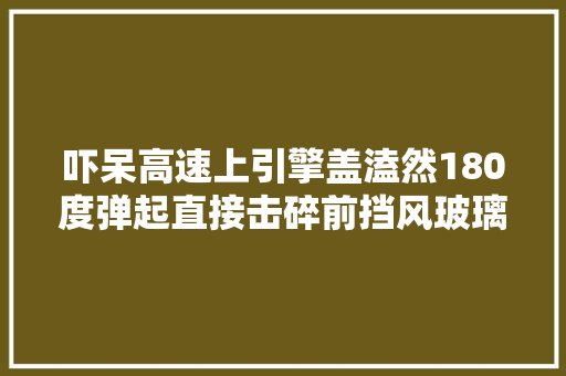 吓呆高速上引擎盖溘然180度弹起直接击碎前挡风玻璃
