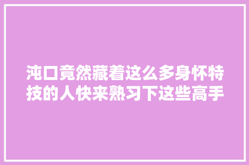 沌口竟然藏着这么多身怀特技的人快来熟习下这些高手吧 汽车知识
