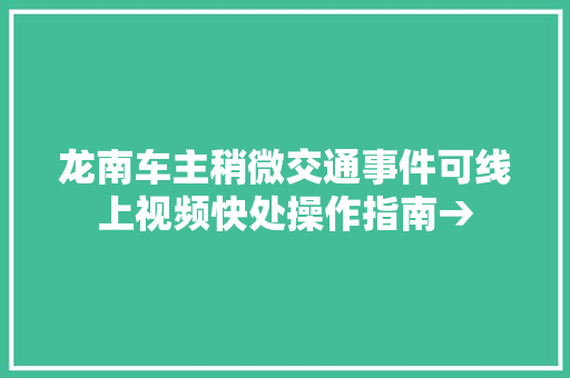 龙南车主稍微交通事件可线上视频快处操作指南→
