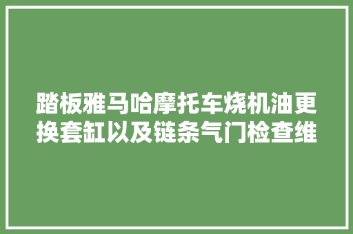 踏板雅马哈摩托车烧机油更换套缸以及链条气门检查维修分享。