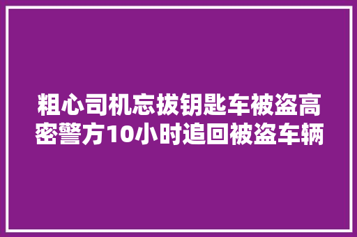粗心司机忘拔钥匙车被盗高密警方10小时追回被盗车辆
