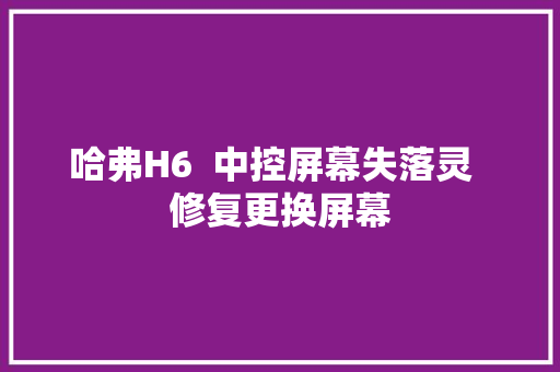 哈弗H6  中控屏幕失落灵  修复更换屏幕