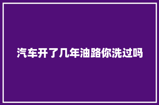 汽车开了几年油路你洗过吗