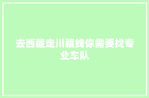 去西藏走川藏线你需要找专业车队