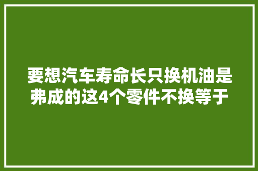 要想汽车寿命长只换机油是弗成的这4个零件不换等于没保养