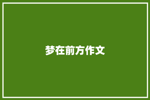 梦在前方作文