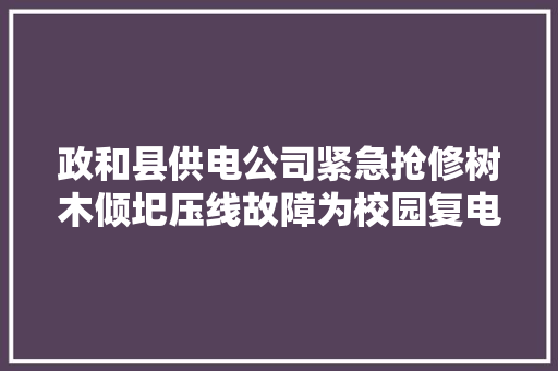 政和县供电公司紧急抢修树木倾圯压线故障为校园复电