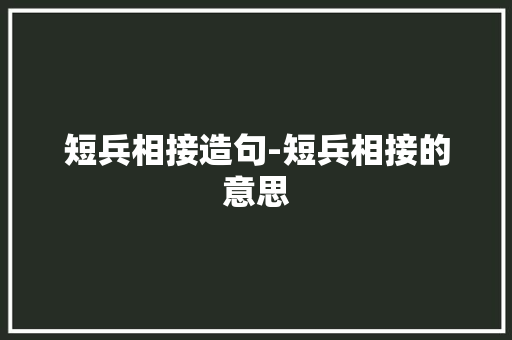 短兵相接造句-短兵相接的意思
