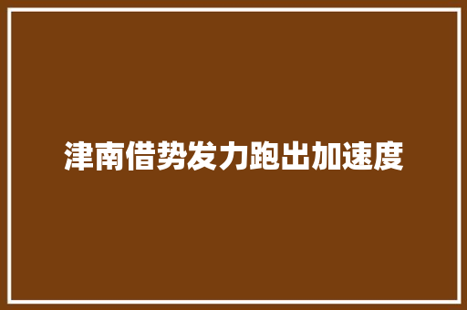 津南借势发力跑出加速度