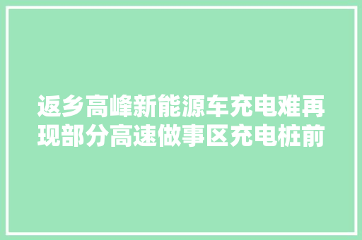 返乡高峰新能源车充电难再现部分高速做事区充电桩前排长龙