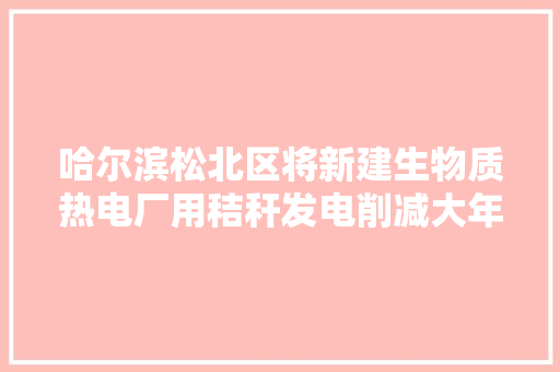 哈尔滨松北区将新建生物质热电厂用秸秆发电削减大年夜气污染
