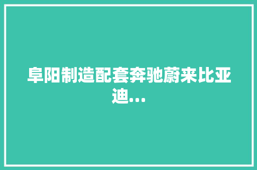 阜阳制造配套奔驰蔚来比亚迪…