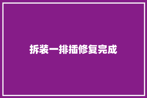 拆装一排插修复完成