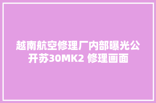 越南航空修理厂内部曝光公开苏30MK2 修理画面