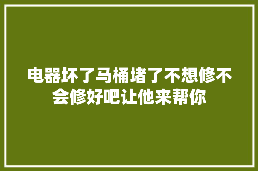 电器坏了马桶堵了不想修不会修好吧让他来帮你