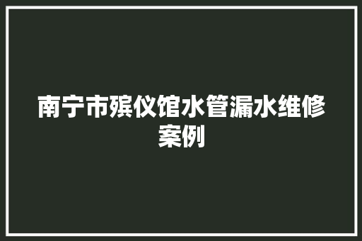 南宁市殡仪馆水管漏水维修案例