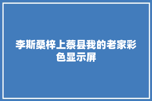 李斯桑梓上蔡县我的老家彩色显示屏