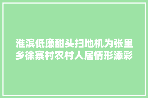 淮滨低廉甜头扫地机为张里乡徐寨村农村人居情形添彩