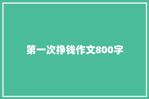 第一次挣钱作文800字
