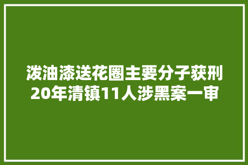 泼油漆送花圈主要分子获刑20年清镇11人涉黑案一审判决