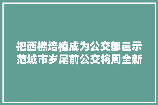把西樵培植成为公交都邑示范城市岁尾前公交将周全新能源化
