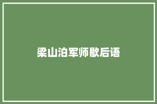 梁山泊军师歇后语