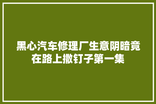 黑心汽车修理厂生意阴暗竟在路上撒钉子第一集