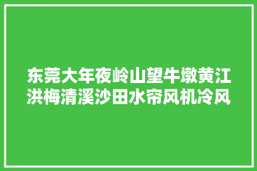 东莞大年夜岭山望牛墩黄江洪梅清溪沙田水帘风机冷风机空调降温设备