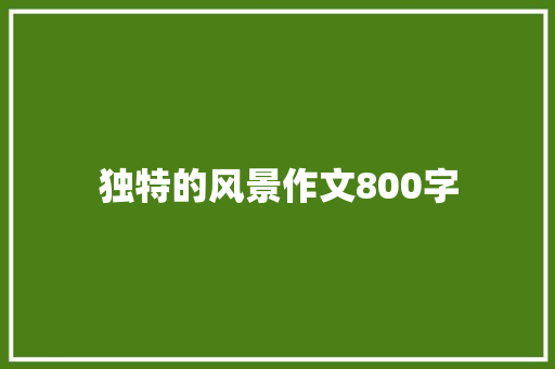 独特的风景作文800字
