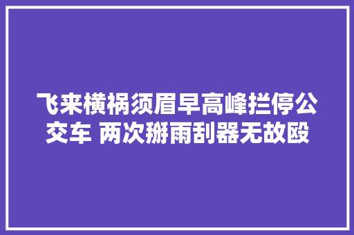 飞来横祸须眉早高峰拦停公交车 两次掰雨刮器无故殴打司机