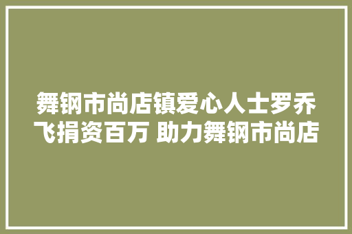 舞钢市尚店镇爱心人士罗乔飞捐资百万 助力舞钢市尚店镇脱贫攻坚 汽车知识