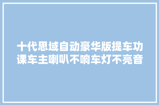 十代思域自动豪华版提车功课车主喇叭不响车灯不亮音质差