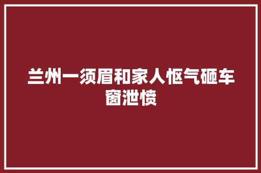 兰州一须眉和家人怄气砸车窗泄愤