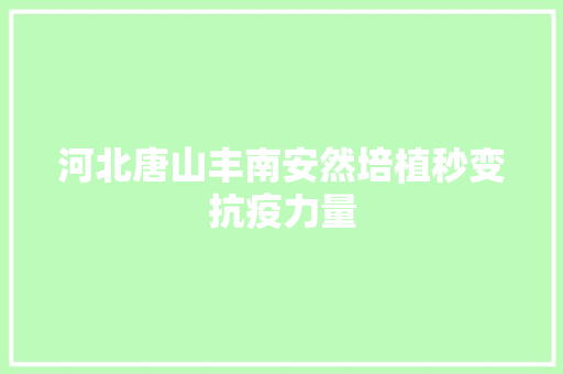 河北唐山丰南安然培植秒变抗疫力量 汽车知识