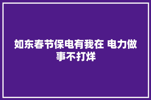 如东春节保电有我在 电力做事不打烊