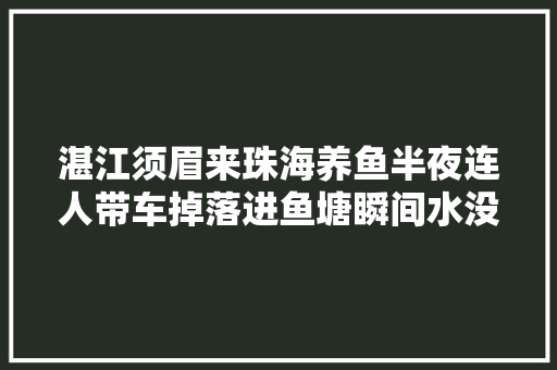 湛江须眉来珠海养鱼半夜连人带车掉落进鱼塘瞬间水没车顶